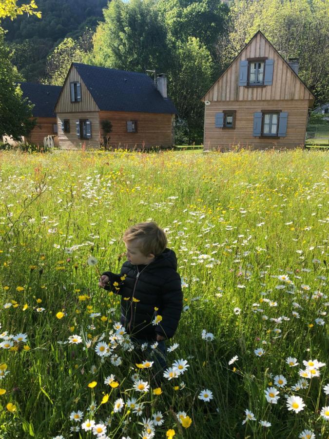 Les Chalets D'Arrens Zewnętrze zdjęcie